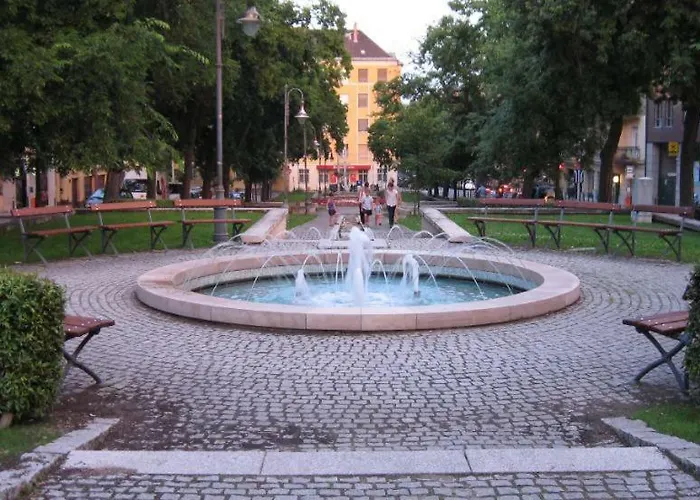 Szocs I.