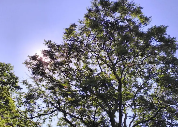 Szocs I. Apartament *