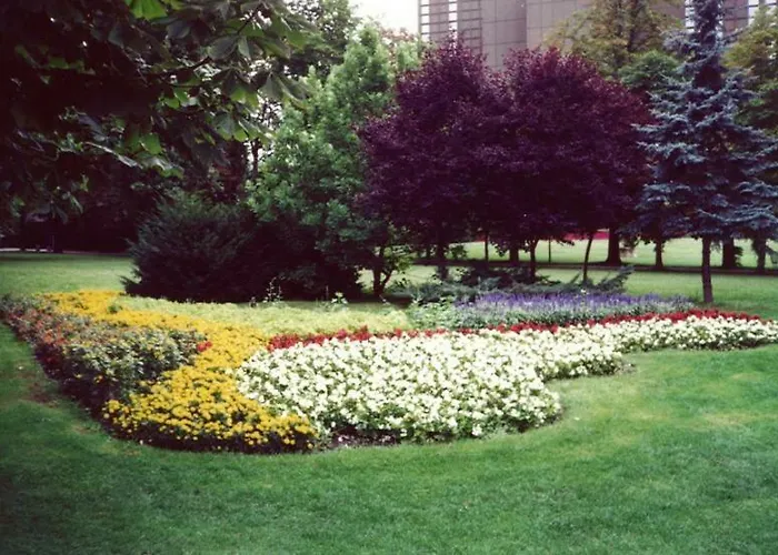 Szocs I. 布达佩斯